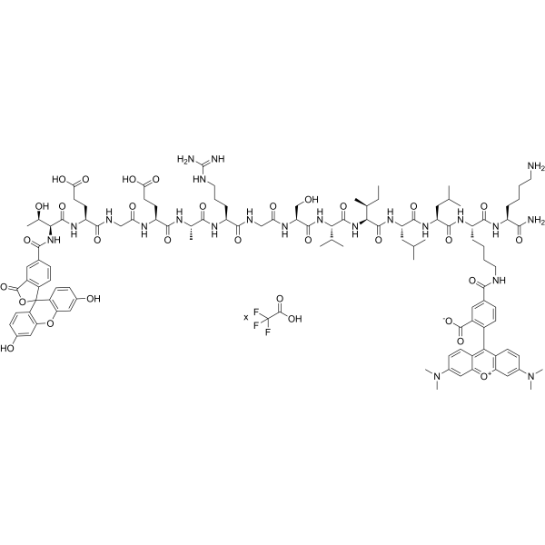 5-FAM-TEGEARGSVILLK(5-TAMRA)K-NH2 TFA